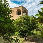The Tower With The Orange Tree Garden